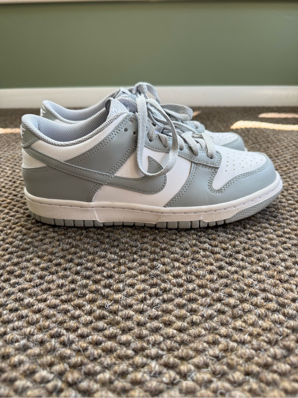 EUC Nike Dunks Big Kids Size 6.5